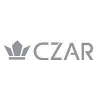 Czartech logo - Similar company to Jxl Global Limited