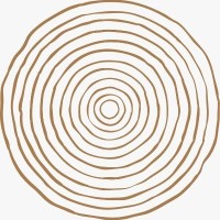 Avino logo - Similar company to Sheldon Peever Studio