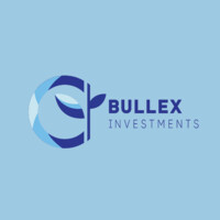 Bullex Investments logo - Similar company to Fintech Fuel