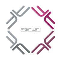 Ferlini Srl logo - Similar company to Visia Quantum