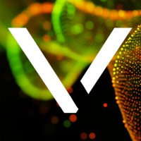 Valis Corporation logo - Similar company to Epass