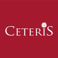 CETERiS Consultores logo - Similar company to Erp Soluciones