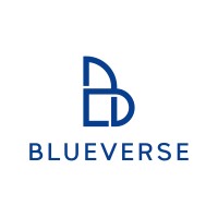Blue Verse logo - Similar company to Ows Vietnam