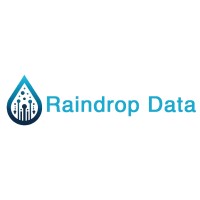 Raindrop Data logo - Similar company to Amplinsology