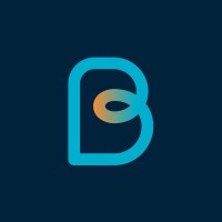 BILLY SOLUTIONS logo - Similar company to Chassaing Technologies