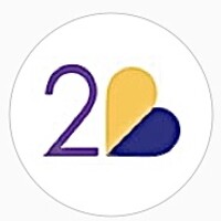 2B Technology logo - Similar company to Assertis
