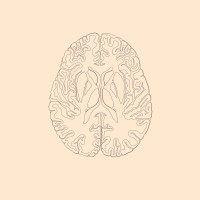 Neurology and Neurosurgery Clinical Specialty Interest Group (NANCSIG) logo - Similar company to Yunu Tech