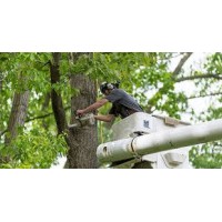 Morgantown Tree Service logo - Similar company to Arader Tree Service, Inc.