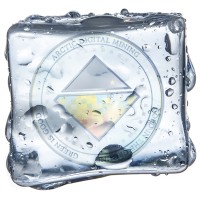Arctic Digital Mining logo - Similar company to Western Sierra Resource Corporation