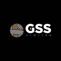 GSS Global Sourcing Services Ltd. logo - Similar company to Frandtex Sourcing