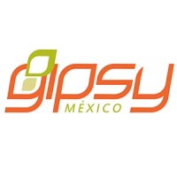 Gipsy México logo - Similar company to Cademac Sas