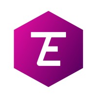 TeamExio logo - Similar company to Irinfosys Limited