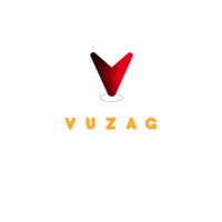 Vuzag logo - Similar company to Chambers Venture Capital, Llc