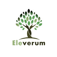 Eleverum logo - Similar company to Société Lyonnaise D'Histoire De La Police