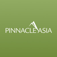 Pinnacle Asia Global logo - Similar company to Kickstart Solutions