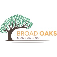 Broad Oaks Consulting, LLC logo - Similar company to Atlanta Silverbacks