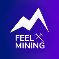 FEEL MINING logo - Similar company to Stelaris