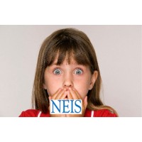 New England Insurance Services, Inc.