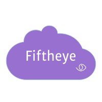 Fiftheye Consultancy logo - Similar company to Algostrauss