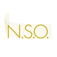 NSO Expertise & Audit logo - Similar company to Fin' Équipe