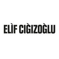 ELIF CIGIZOGLU logo - Similar company to Aicia