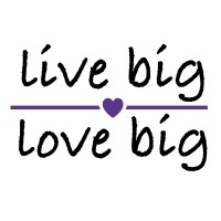 Live Big. Love Big. logo - Similar company to Innovative Risk Solutions, Llc