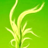 Mr GreenTech logo - Similar company to Greentechs Ltd.