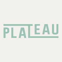 Plateau logo - Similar company to Kiem Team