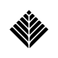 Toca logo - Similar company to Solos