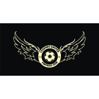 Legends United Football Academy India(LUFC INDIA) logo - Similar company to Atmt Pro