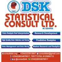 DSK Statistical Consult Ltd. logo - Similar company to Dsk It Solution