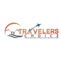 Travelers Choice logo - Similar company to Level 8