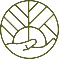 Novidade Saudável logo - Similar company to Lemon Co.