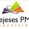 Rejeses PM Consulting logo - Similar company to Youquerist