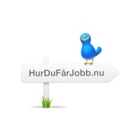 Hur Du Får Jobb