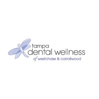 Tampa Dental Wellness Of Westchase and Carrollwood logo - Similar company to Titan Solutions Services