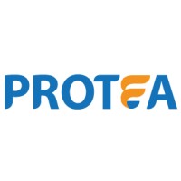 Protea Infotech Pvt. Ltd. logo - Similar company to Cognifyx Solutions Pvt Ltd