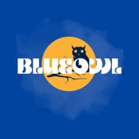 BlueOwl India logo - Similar company to Blueowl Career Prep + Advising