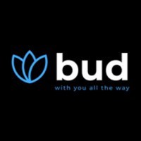 Bud logo - Similar company to Phase 3