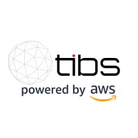 Tshinwelo Innovative Business Solutions [TIBS] logo - Similar company to Young African Entrepreneurs Institute - Yaei Npc