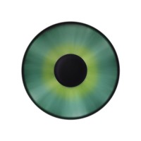 IRIS WEB CORE logo - Similar company to Found First Media Ltd