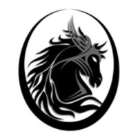 The War Horse News logo - Similar company to Military Veterans In Journalism