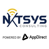 NXTSYS Consulting logo - Similar company to Advantex