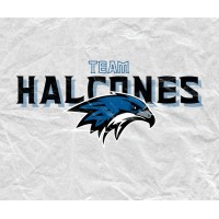 Halcones Flag Football Team logo - Similar company to Inside Britball