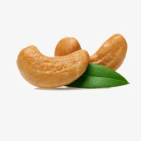 Cashew Tax logo - Similar company to Ag Envirotech