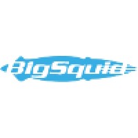 Big Squid logo - Similar company to Edu.Com