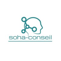SOHA-CONSEIL logo - Similar company to Infinity Protection