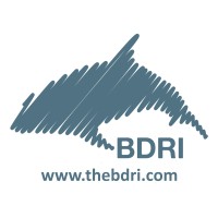 BOTTLENOSE DOLPHIN RESEARCH INSTITUTE - BDRI logo - Similar company to Atlantic Whale And Dolphin Foundation