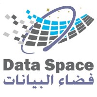 Dataspace SA logo - Similar company to Rfsoftlab