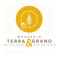 Masseria Terra&Grano logo - Similar company to 4P Value Srl